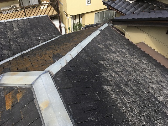 棟板金の確認を実施